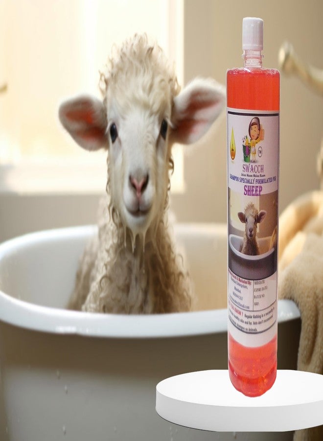 Swacch Shampoo Specially Formulated for Sheep (1 Litre) Strawberry - Image 2